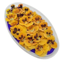 Виола обезвоженная "Сочный манго" Плоская 20 шт 